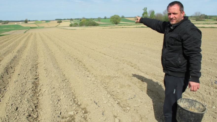 Članovi  OPG Mađeruh posadili krumpir na 11 ha