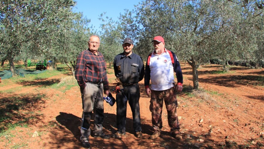 Od Mattea preko Lorenza i Livia do - Mattea: Obitelj Belci vraća vrijednost i maslini žižoleri