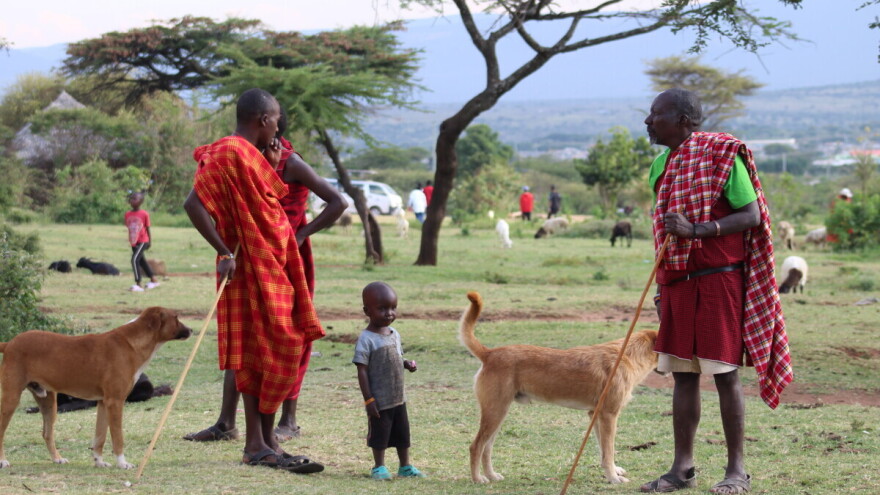 Uči li Afrika na greškama Evrope? Razvoj da, ali ne pod svaku cijenu!
