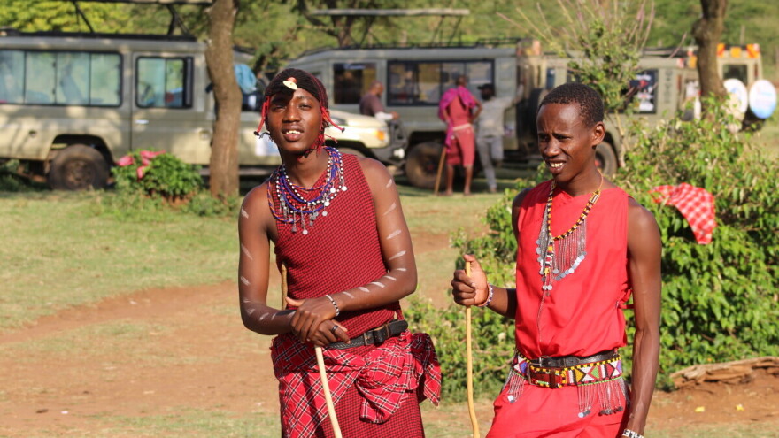 Tamo gdje krave nemaju markice, a lavovi određuju brojnost stada