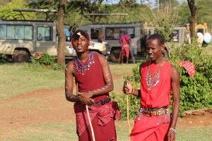 Tamo gde krave nemaju markice, a lavovi određuju brojnost stada