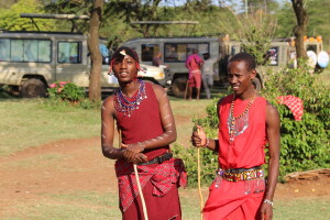 Tamo gdje krave nemaju markice, a lavovi određuju brojnost stada
