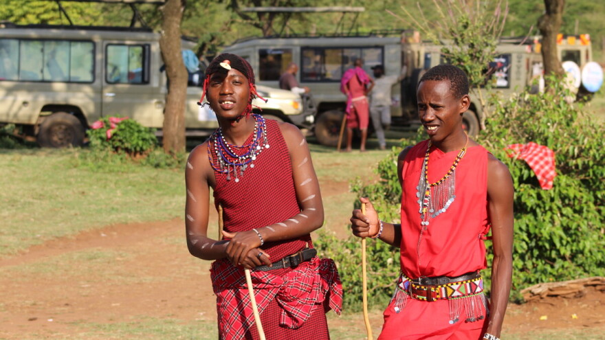 Tamo gdje krave nemaju markice, a lavovi određuju brojnost stada