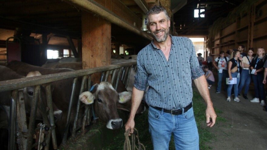 Krave ovdje čiste drvenom vunom, a posjetitelji farme spavaju na slami