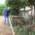Divlje šparoge - možemo li ih uzgojiti u vrtu kako bi u njima uživali i ljeti?