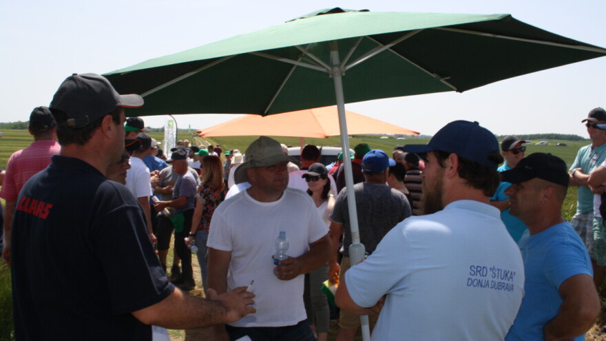 RWA pšenice pobijedile u prestižnom sortnom pokusu