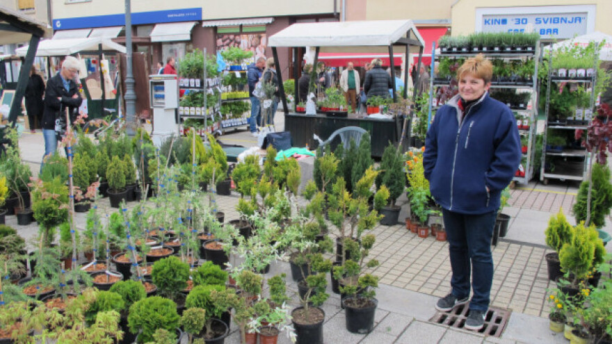 Fišijada Mađara i Sajam cvijeća u Daruvaru