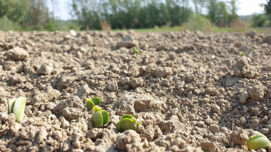 Novi predlog proračuna EU: Manje novca za ZPP i ne tako dobar plan?