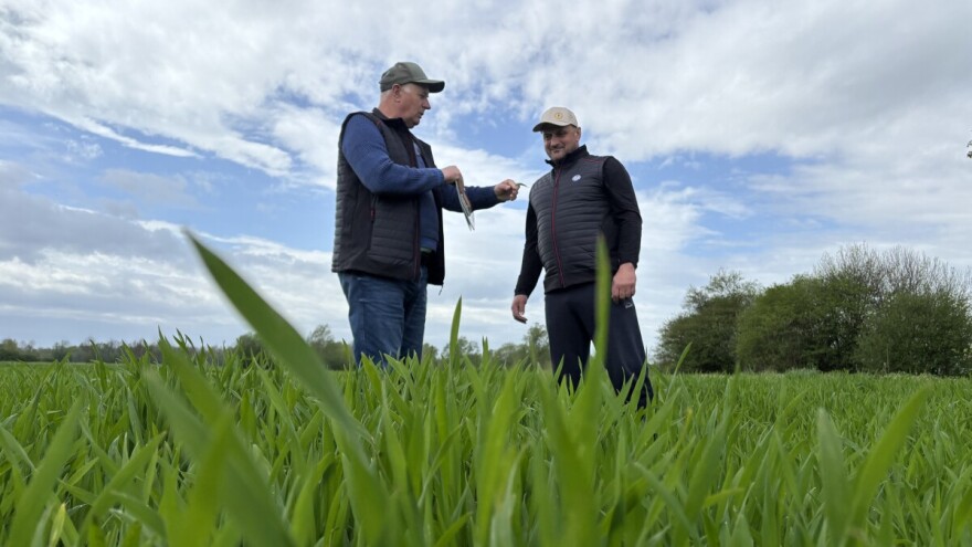Dražen Klarić: Od svega što sam probao, osječki hibridi su mi se pokazali najboljima