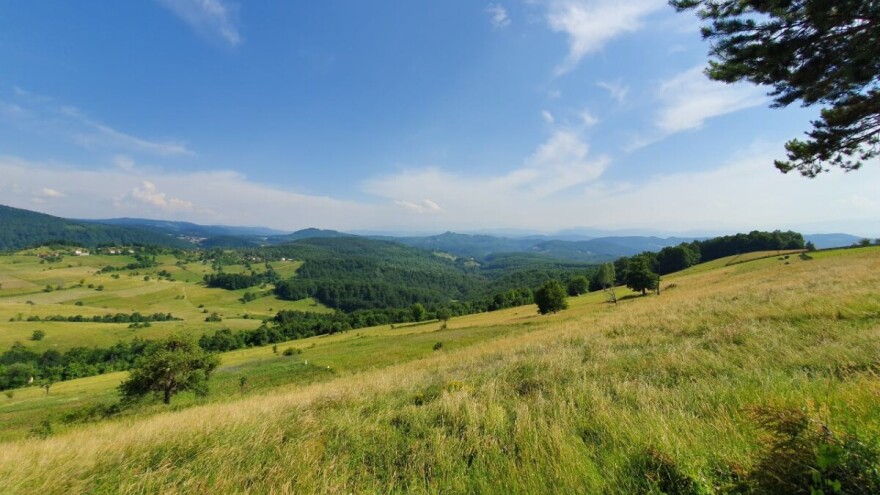 Šta je selo bez krava!? Jarane, ne isplati se danas krave imat'!