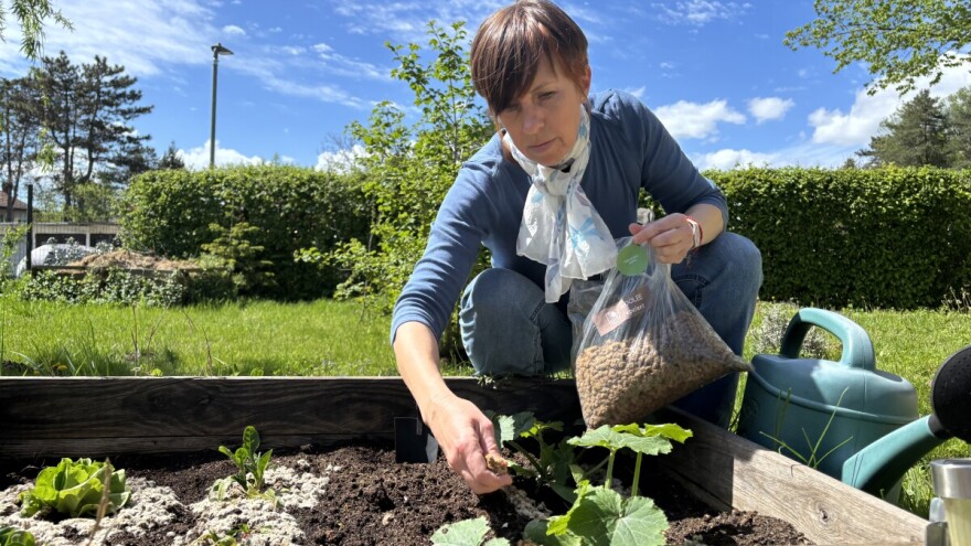 Martina Petrak: Ovčja vuna mi je spasila vrt od napasnih puževa