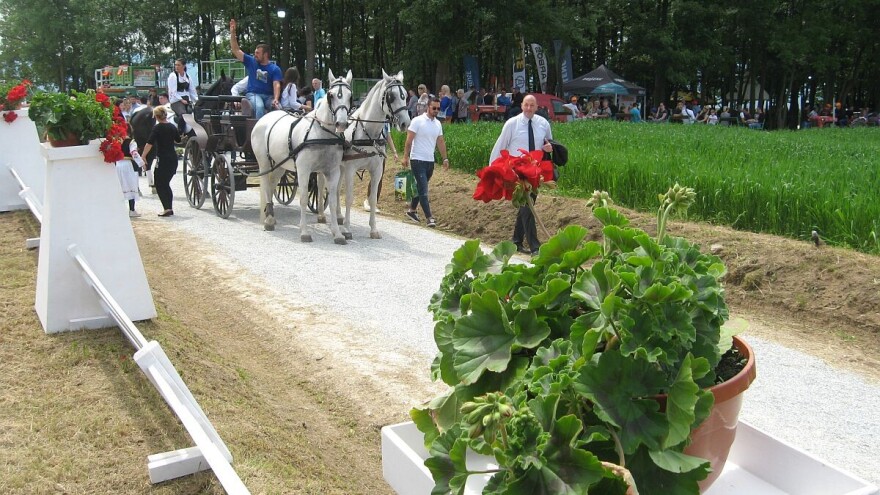 Održan Sabor voćara - fakultet u voćnjacima!