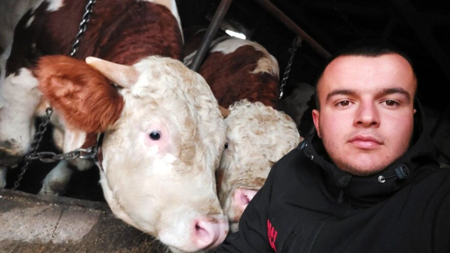 Farma "Pađan" pred gašenjem - ako ne dobije zemljište, Danijel u maju prodaje krave