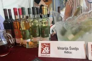 Vina iz Riđice - loze Arsenija Čarnojevića