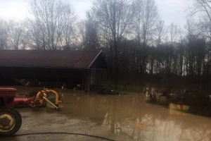 Besana noć iza farmera: Goveda 12 sati provela u vodi