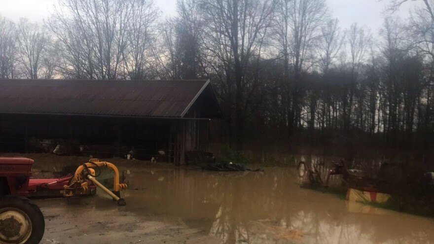 Besana noć iza farmera: Goveda 12 sati provela u vodi