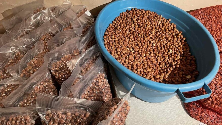 Lješnik: Uz dobro sušenje i skladištenje može da se čuva i do tri godine?