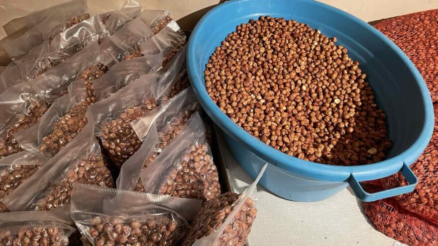 Lešnik: Uz dobro sušenje i skladištenje može da se čuva i do tri godine?