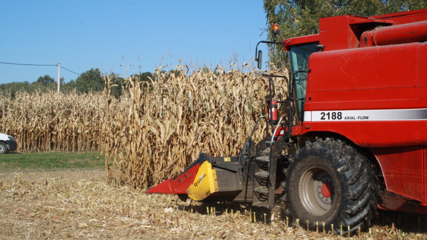 Pokus 41 hibrida kukuruza - najveći prinos kod Zvonimira Babića ostvario LG 30.500