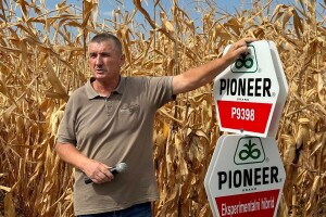 Bila suša ili vlaga od kukuruza očekuju da rataru osigura prihod