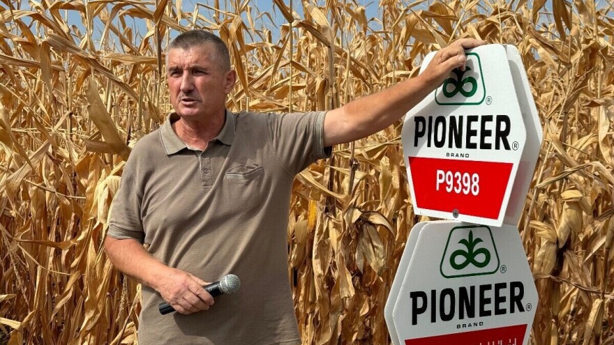 Bila suša ili vlaga od kukuruza očekuju da rataru osigura prihod