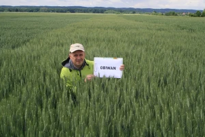 RWA sorta pšenice Obiwan dala 10,1 t/ha u Podravkinom pokusu