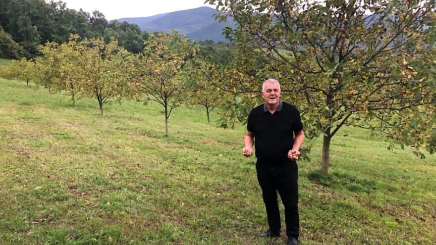 Ministar koji uzgaja orahe i obrađuje njive: Vinko Marić garantuje veće poticaje u ZDK