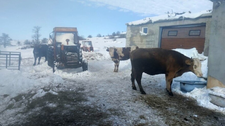 Perduhovo Selo zatrpano sedam dana: "Šta možemo uraditi s tolikim mlijekom"