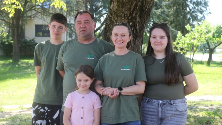 Rajčica se vraća kući - obitelj Drožđek sadi 12 hektara