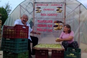Gledali ga kao čudaka, sad zgrće pare od biljaka i rakije od gljiva