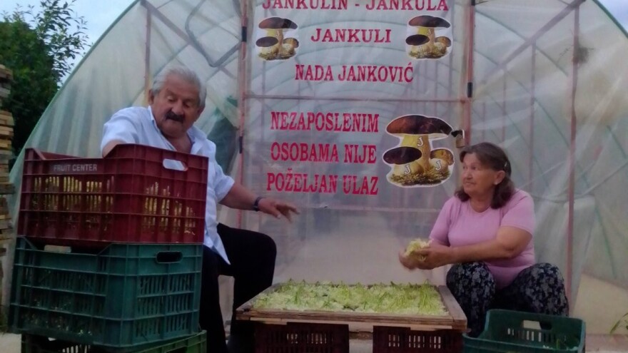 Gledali ga kao čudaka, sad zgrće pare od biljaka i rakije od gljiva