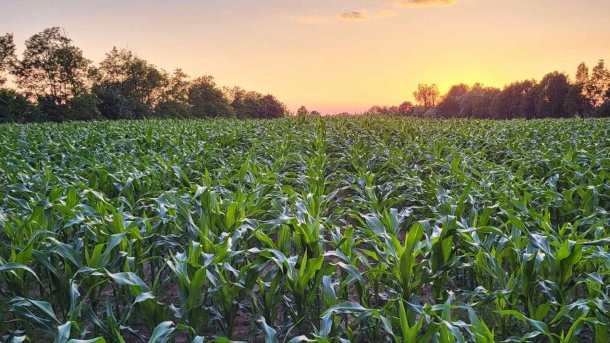 Primjedbe na raspodjelu državnog zemljišta upućene inspektoru i tužiocu