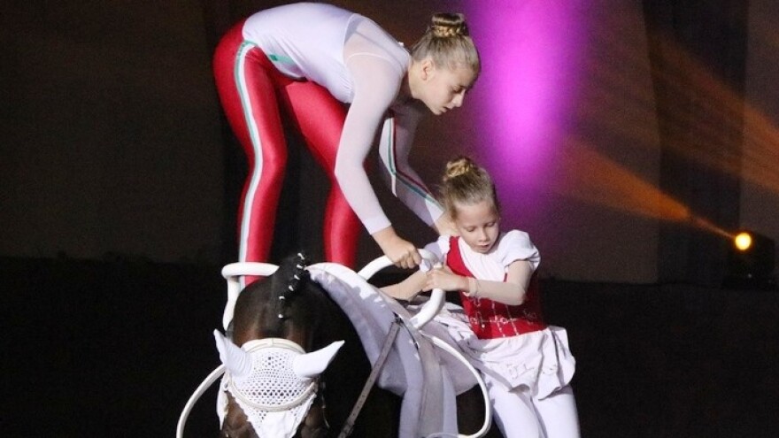 Vaulting horse: Nevjerojatan sklad konja i gimnastičarki