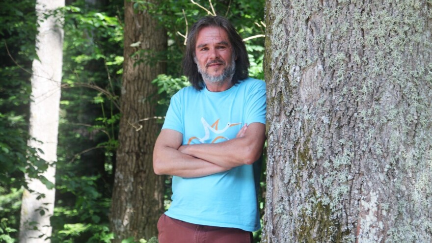 Kako su invazivne vrste poput hrastove mrežaste stjenice stigle u Hrvatsku?