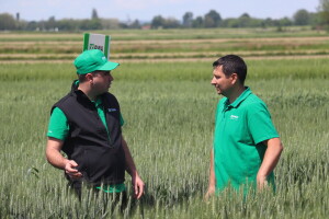Naslijedio je OPG, obrađuje 60 hektara i pomno bira koje sorte sije