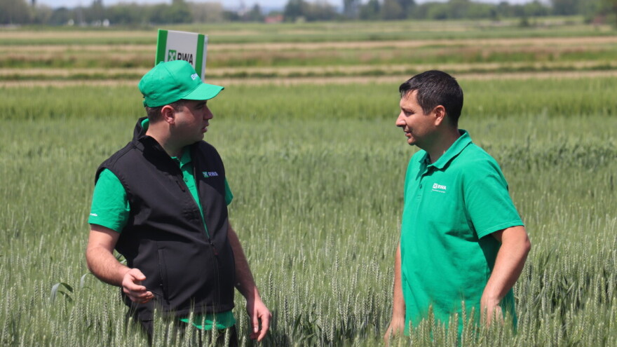 Naslijedio je OPG, obrađuje 60 hektara i pomno bira koje sorte sije