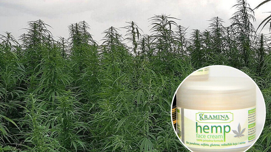 Konoplja - biljka koja može da nahrani, skući, obuče i leči