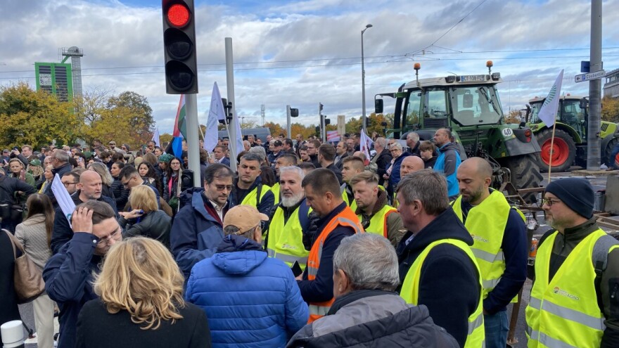 Prosvjed u Strasbourgu: Ukidanje ZPP-a s dva stupa je neprihvatljivo!