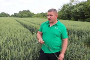 Josip Zušćak: Bez ulaganja nema ništa, od dobrog sjemena do zaštite