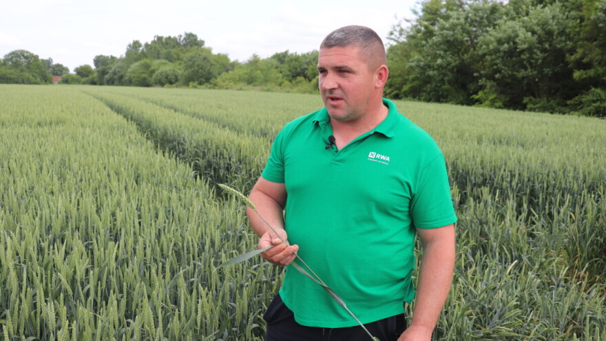 Josip Zušćak: Bez ulaganja nema ništa, od dobrog sjemena do zaštite