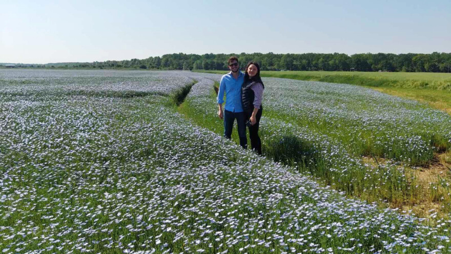 Šire površine pod novom kulturom - siju sjemenski uljni lan