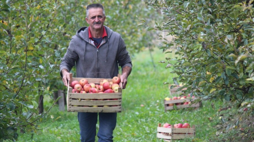 Stjepan Tonković: Dok sam na tržnici sa svojim jabukama, prekupaca nema