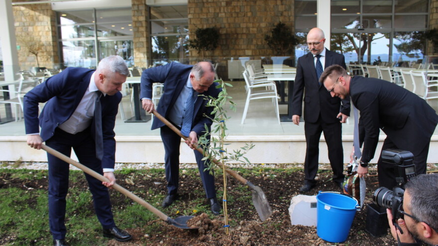 U Tučepima otvoren jubilarni, 25. Noćnjak - više truda ulagati u prezentaciju maslinovih ulja