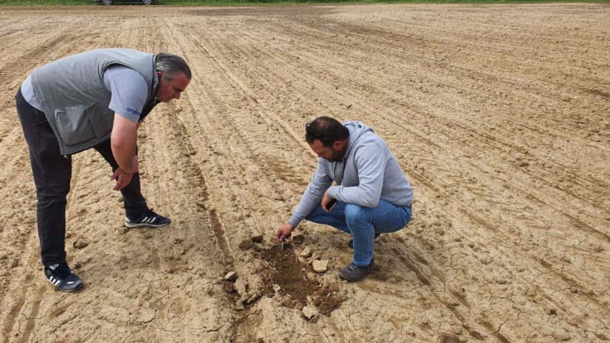 Prinosi žita ove godine iznad prosjeka, otkupna cijena još uvijek nepoznata