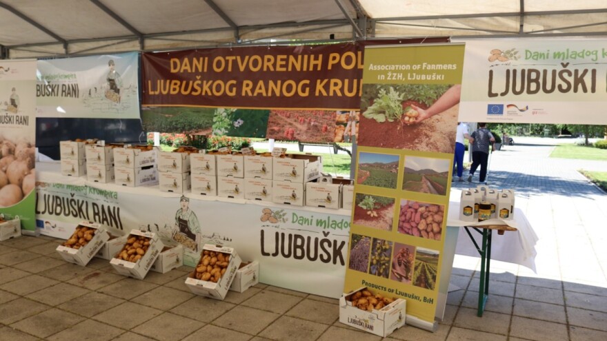 U Ljubuškom ove godine zasađeno oko 350 hektara krompira