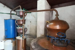 Kajsija deficitarna na tržištu - veća tražnja i skuplja rakija