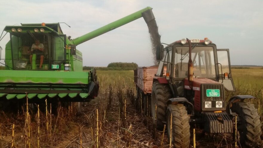Ratari u Sremu zadovoljni prinosom suncokreta i soje, ali ne i cenom