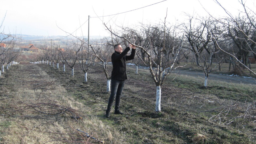 Inženjer informacionih tehnologija "programira" svoje voćnjake