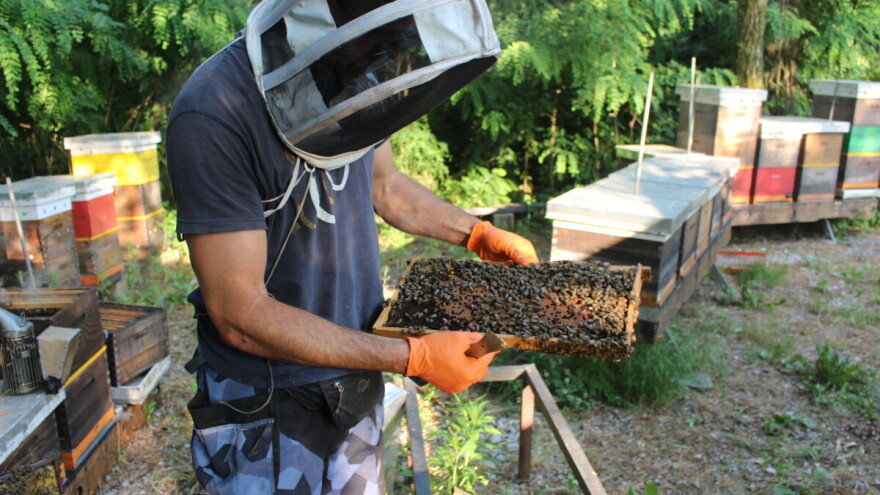 Marko Perković - pčelar "van okvira"