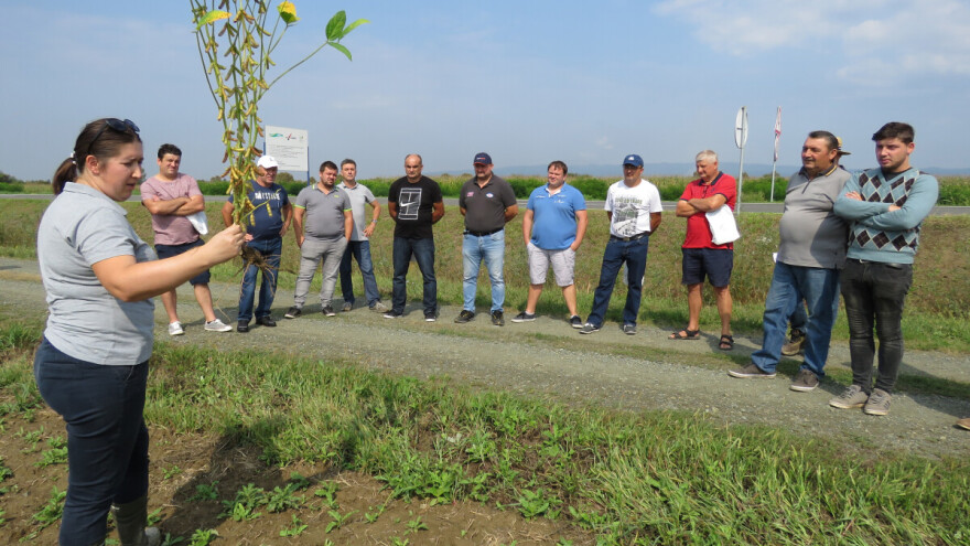 Predstavljeni visokoprinosni hibridi kukuruza i suncokreta te sorte soje